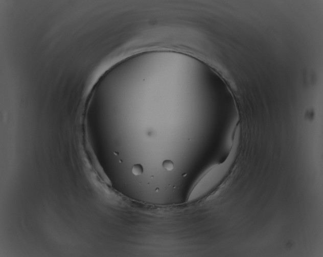 X0000091371530200708311515