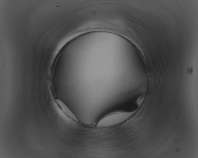 X0000091371531200708311515