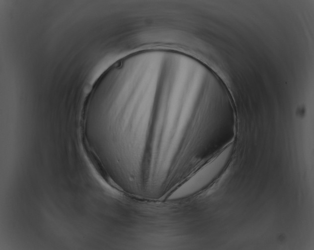 X0000091371533200708311515