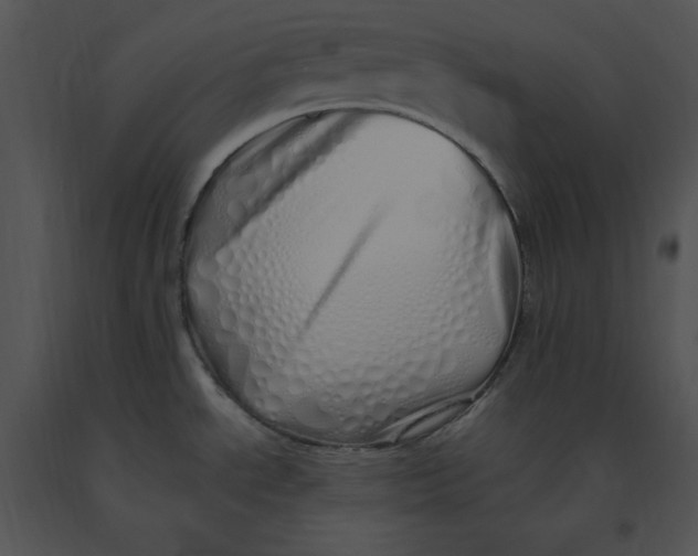 X0000091371534200708311515