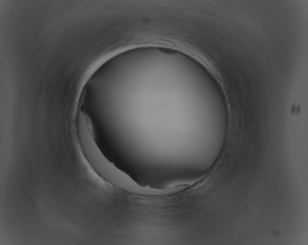 X0000091371536200708311515