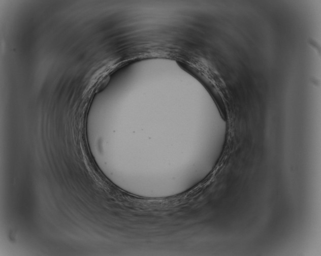 X0000091370001200709071337