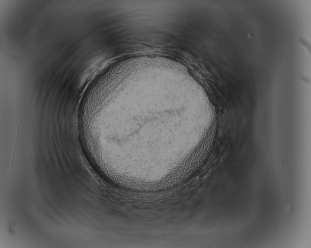 X0000091370002200709071337