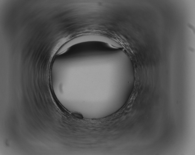 X0000091370003200709071337