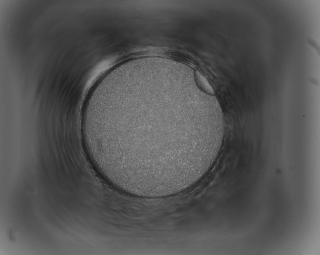 X0000091370006200709071337