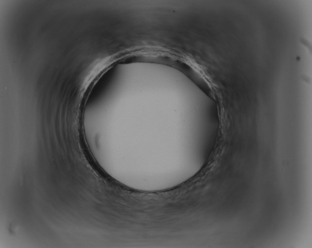 X0000091370007200709071337