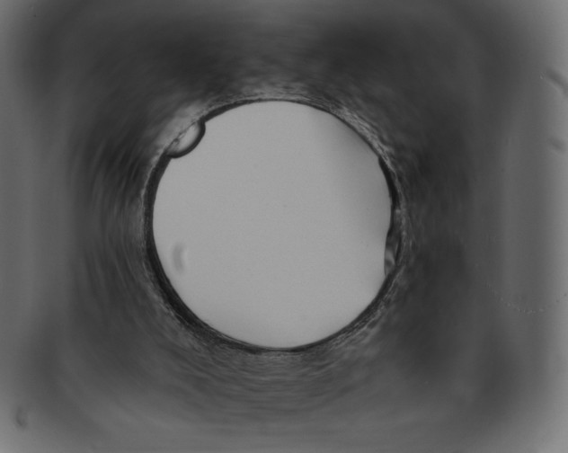 X0000091370008200709071336