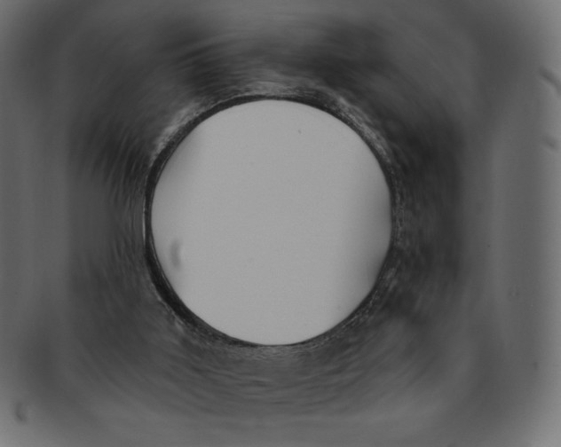 X0000091370011200709071336