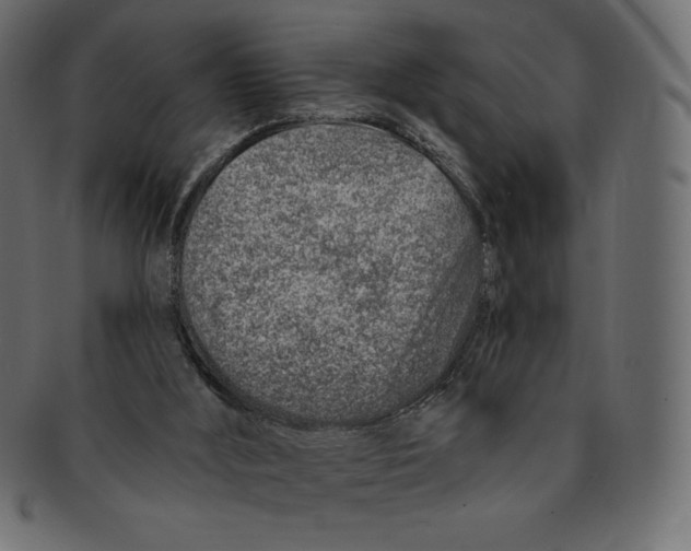 X0000091370012200709071336