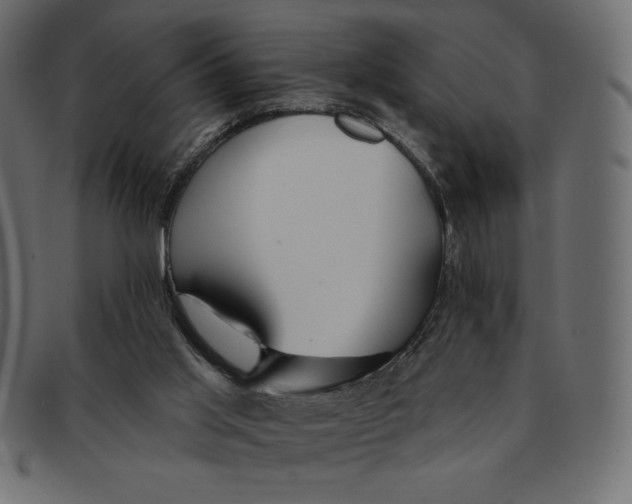 X0000091370013200709071336