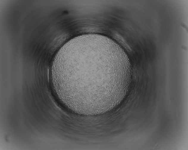 X0000091370014200709071336