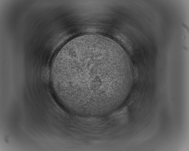 X0000091370016200709071336