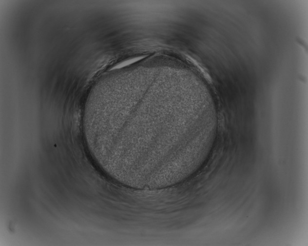 X0000091370018200709071336