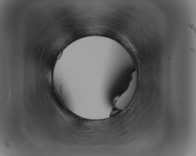 X0000091370021200709071336