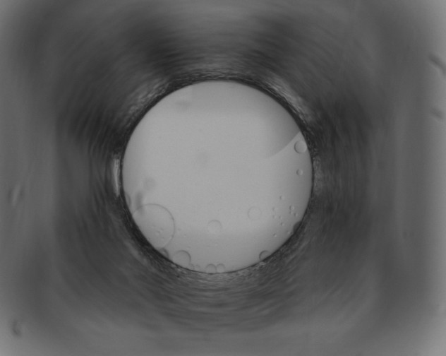 X0000091370022200709071336