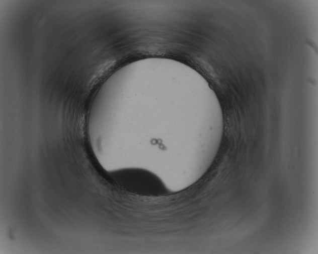 X0000091370023200709071336