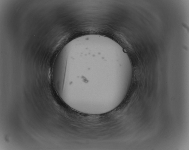 X0000091370024200709071336