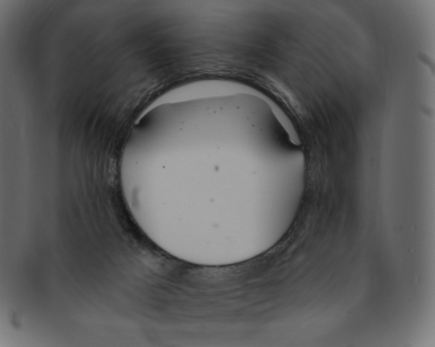 X0000091370025200709071336