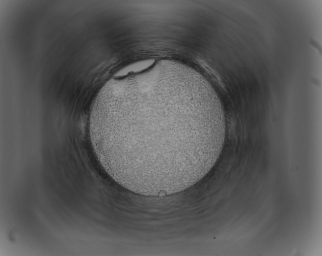 X0000091370026200709071336