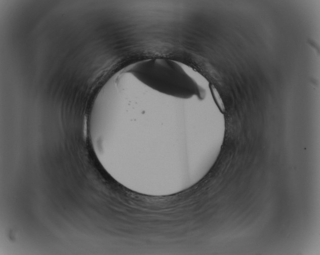 X0000091370027200709071336