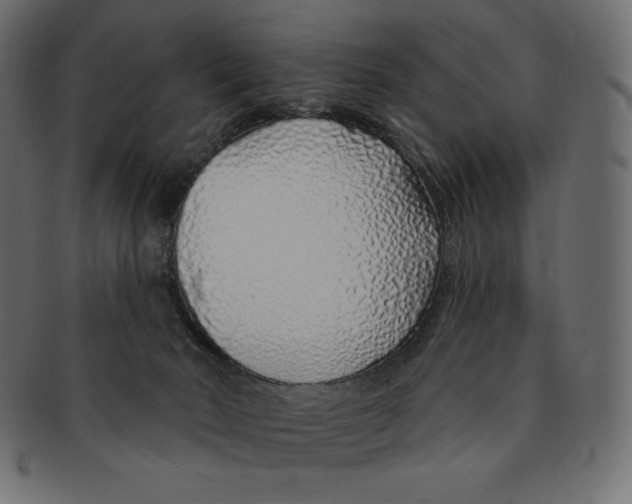 X0000091370030200709071336