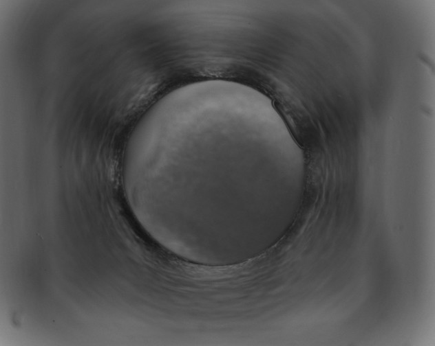 X0000091370031200709071336