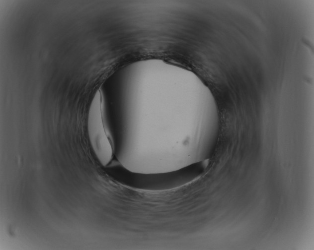 X0000091370033200709071336