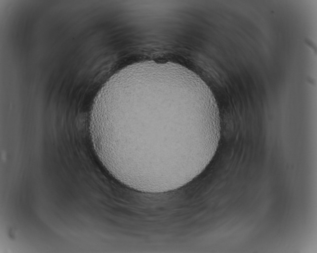 X0000091370034200709071336