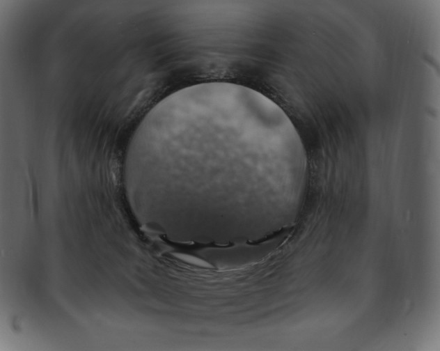 X0000091370035200709071336