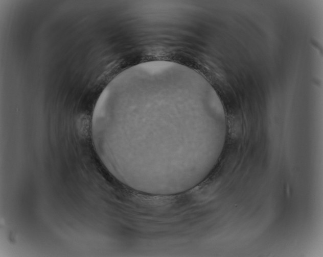 X0000091370036200709071336