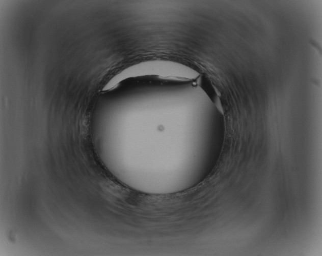 X0000091370037200709071336