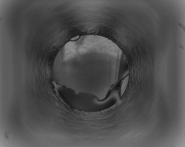 X0000091370039200709071336