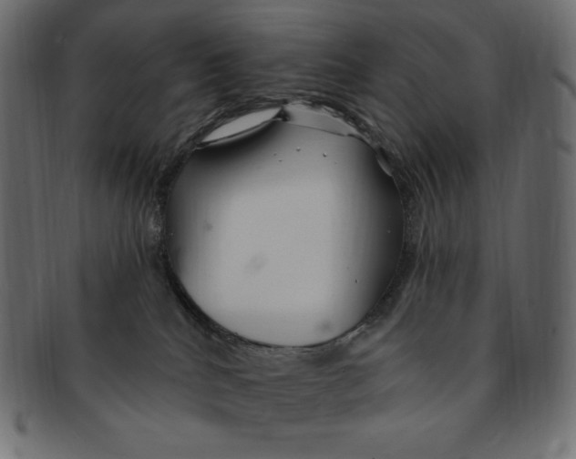 X0000091370040200709071336