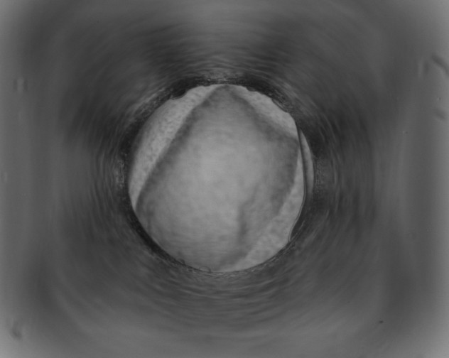 X0000091370043200709071336