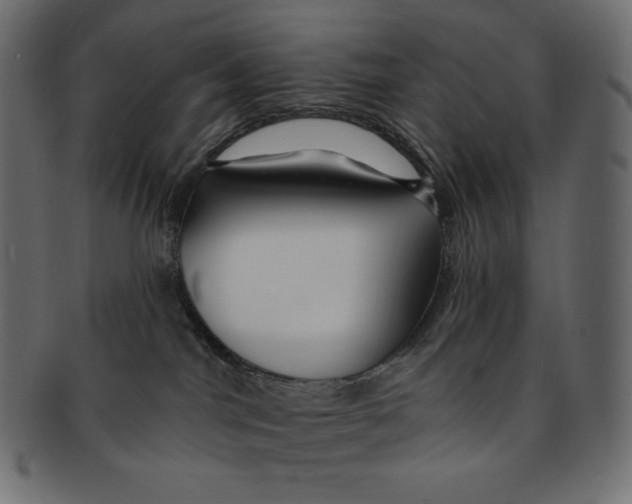 X0000091370044200709071336