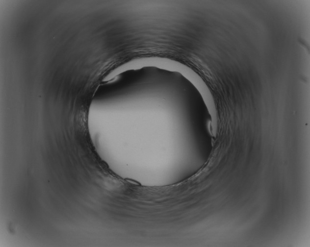 X0000091370045200709071336