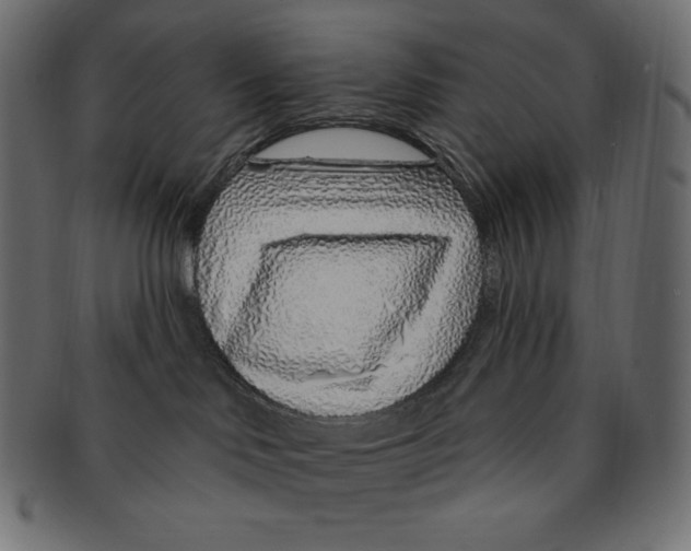 X0000091370046200709071336