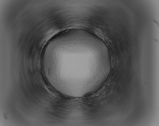 X0000091370050200709071335