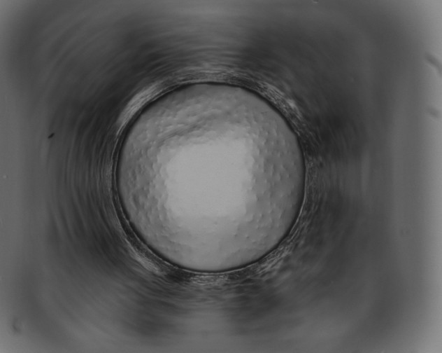 X0000091370051200709071335