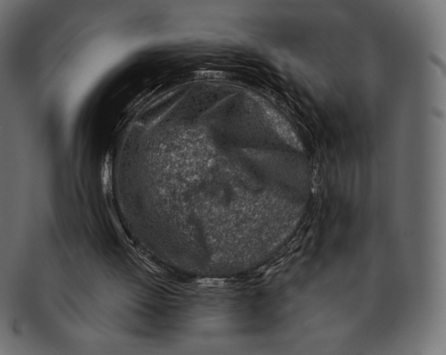 X0000091370052200709071335