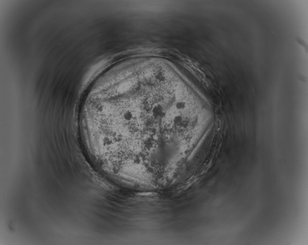 X0000091370053200709071335