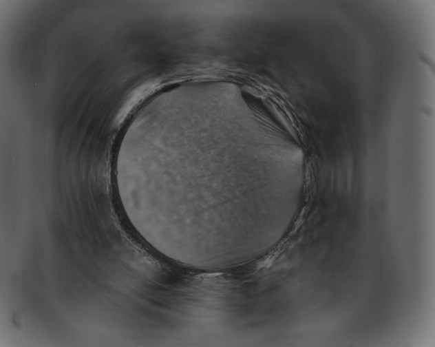 X0000091370054200709071335