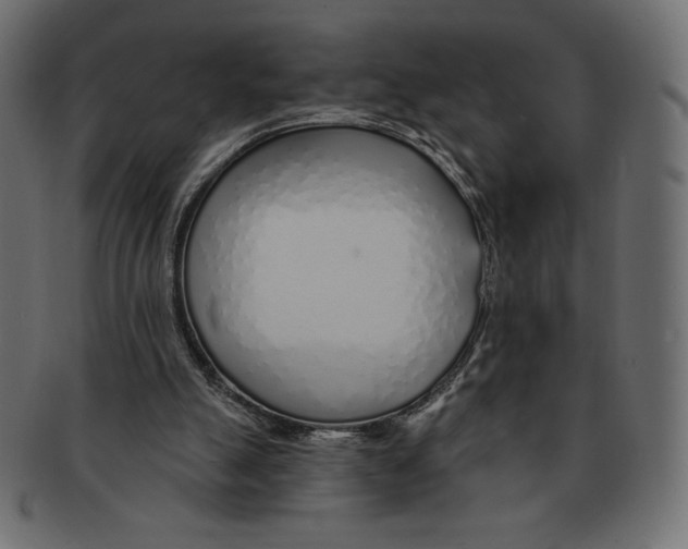 X0000091370055200709071335