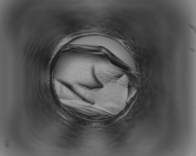 X0000091370056200709071335