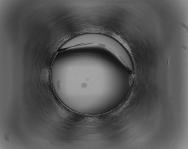 X0000091370057200709071335