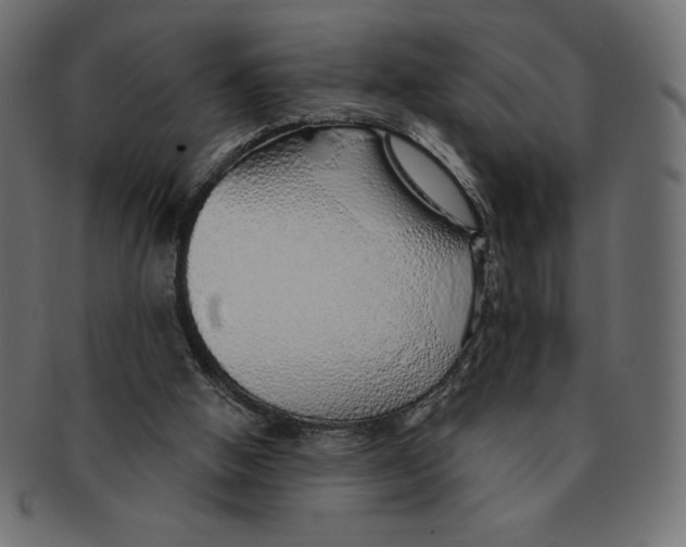 X0000091370058200709071335