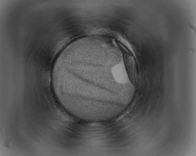 X0000091370059200709071335