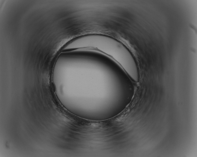 X0000091370060200709071335