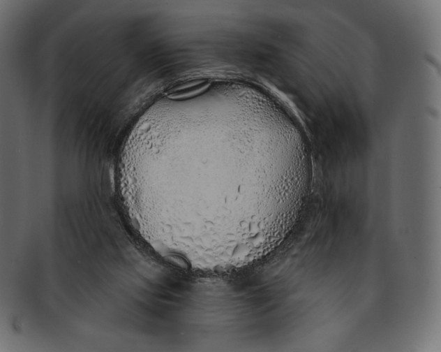 X0000091370061200709071335