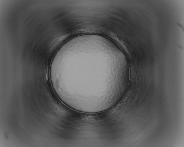 X0000091370062200709071335